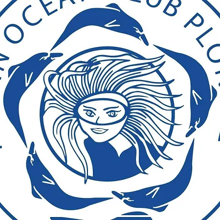 Tres Beau Mobil Spacieux De 2ch - 6 Personnes - Les Charmettes 103 - La Palmyre ,